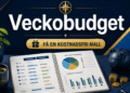 Veckobudget